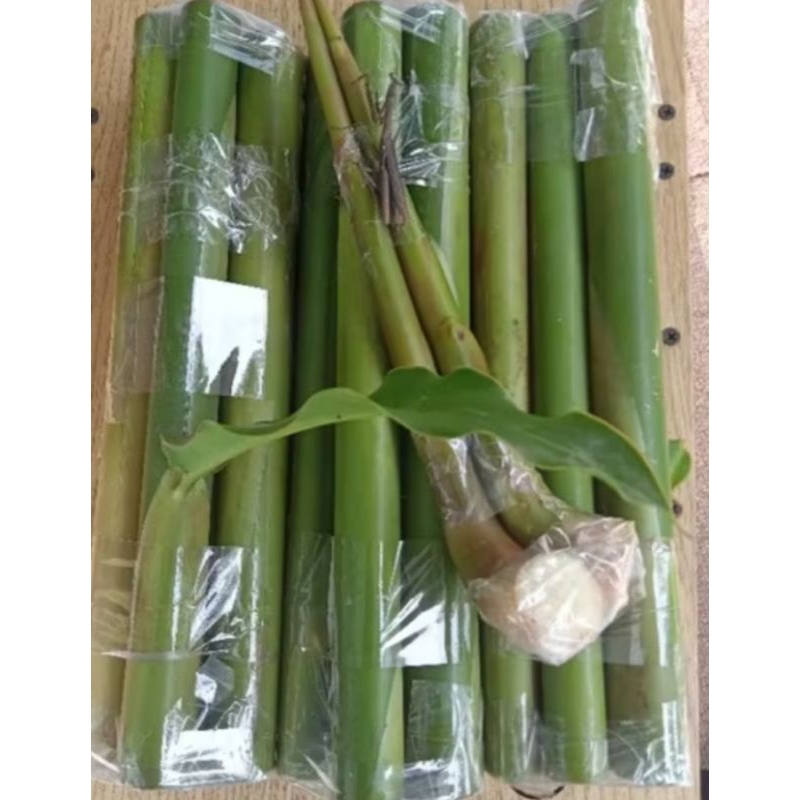 

BATANG POHON KECOMBRANG HIJAU 1 KG PRES #HONJE #ASAM CIKALA #CEKALA #PATIKALA