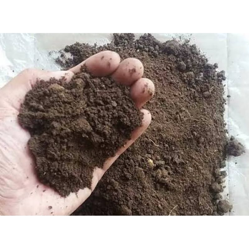 kohe kambing fermentasi 1kg