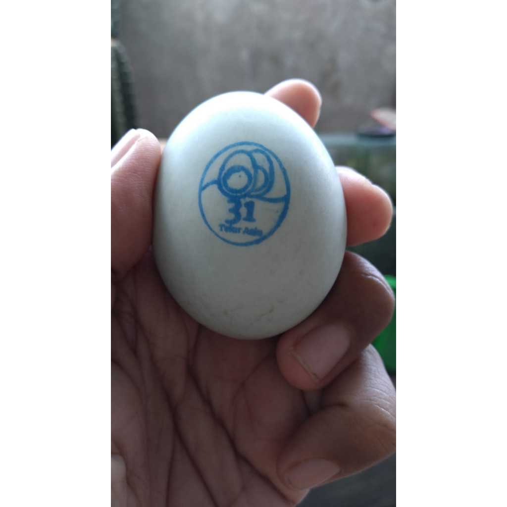 

Telur asin masir dan berminyak solo asli telur asin gado isi 4 butir