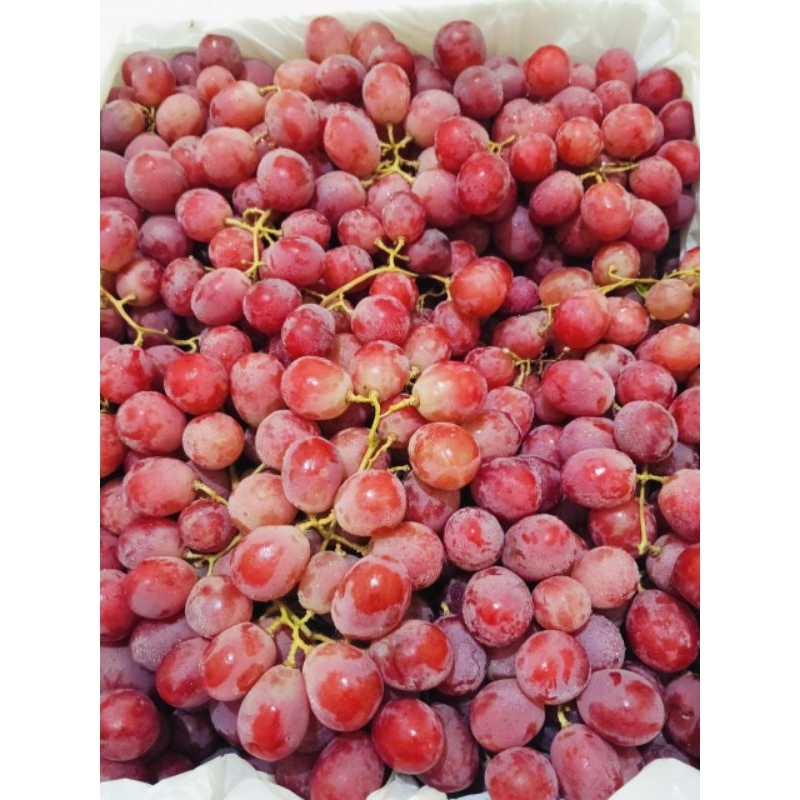 

Anggur Aussie 500 gr