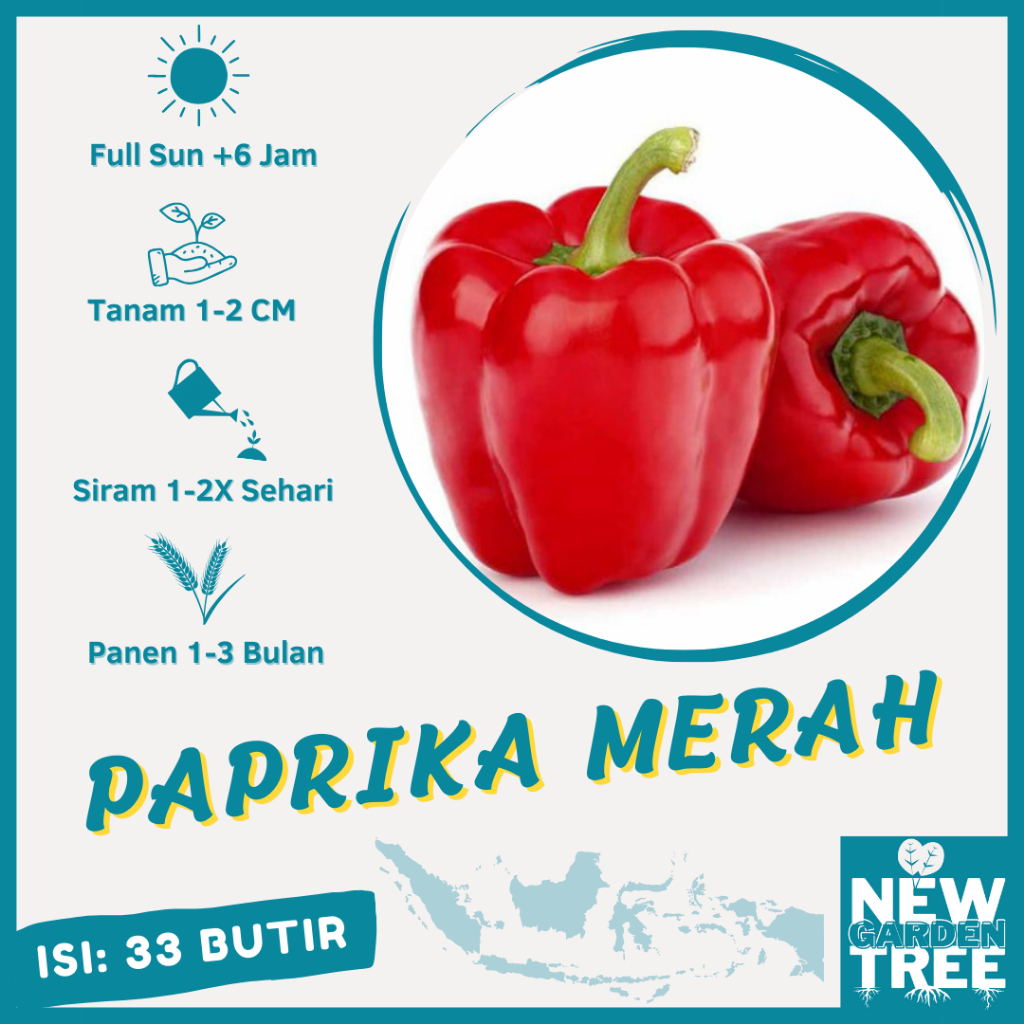 BENIH SAYURAN: 33 BENIH PAPRIKA MERAH CARDINAL STAR - SAYUR KENDAL