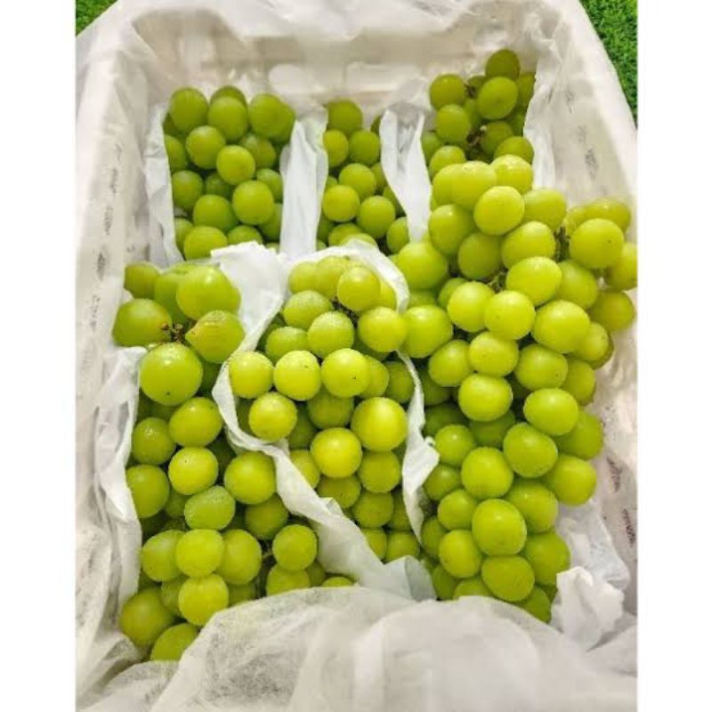 

ANGGUR HIJAU SEEDLESS IMPORT MANIS FRESH 500gram