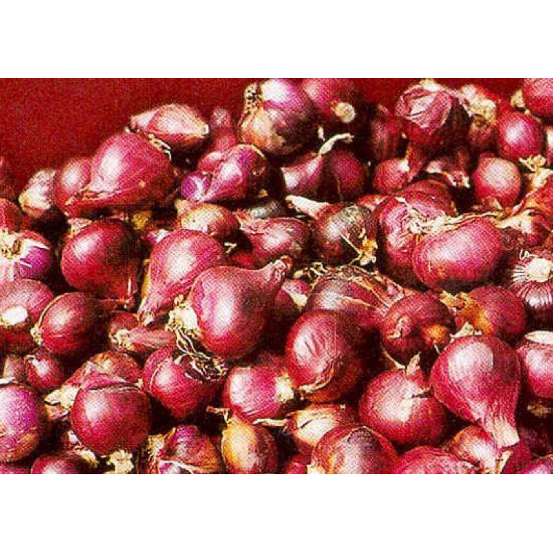 

Bawang Merah kering Super