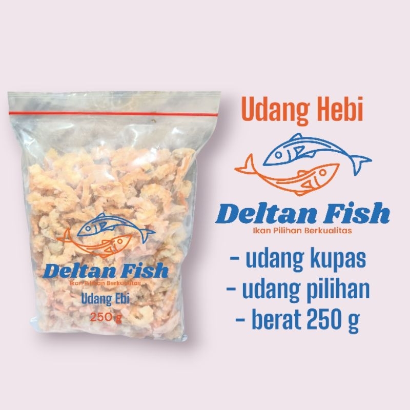

udang hebi detan fish udanghebi tanpa pengawet, tanpa pewarna, udang segar kualitas pilihan,100% alami