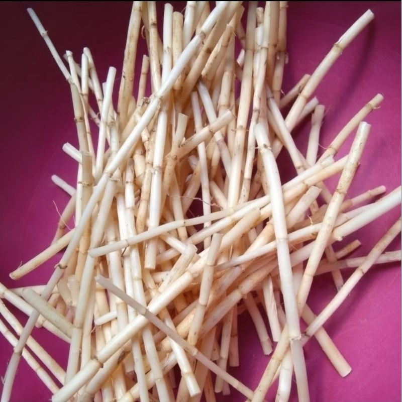 

Akar Alang Alang Segar 500gr