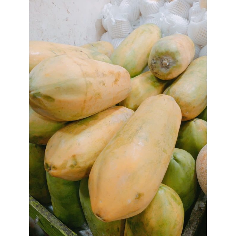 

Pepaya calivornia/pepaya merah(1buah)