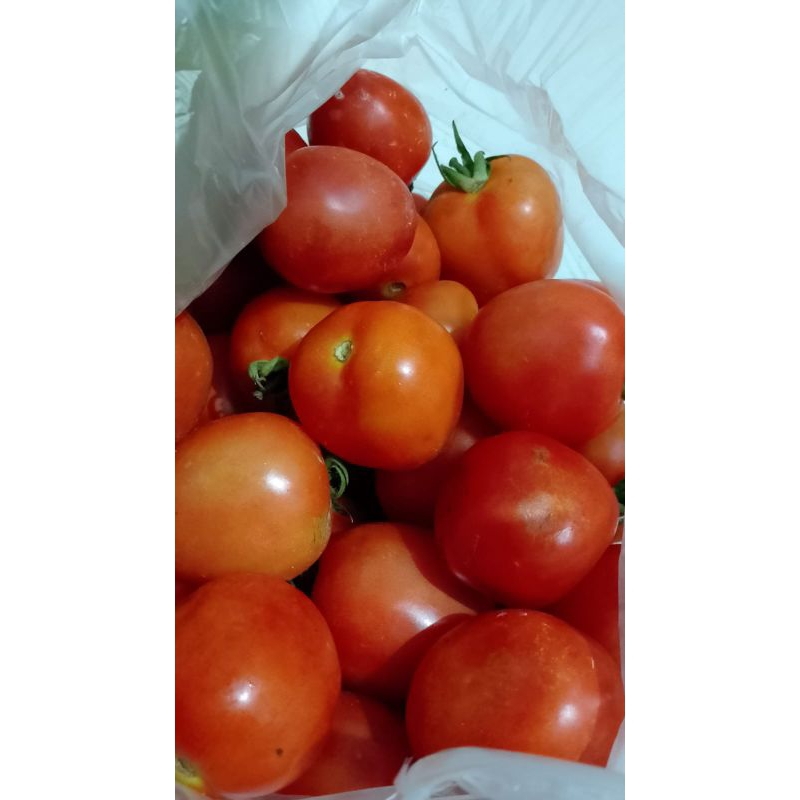 

Tomat 1kg