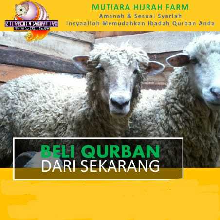 Pusat Hewan Qurban - Kambing Domba BTN Jabodetabek
