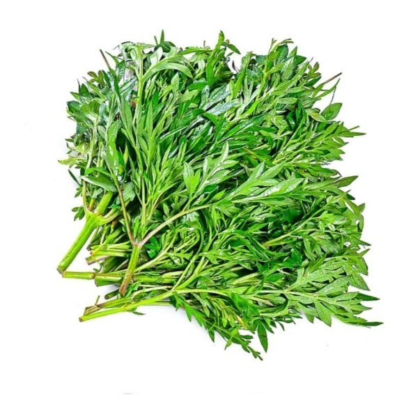 

Kenikir 1 Ikat – Daun Segar dan Renyah untuk Pelengkap Masakan Tradisional