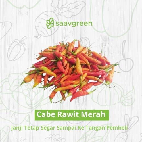 

Cengek / Cabai / Cabe Rawit Merah