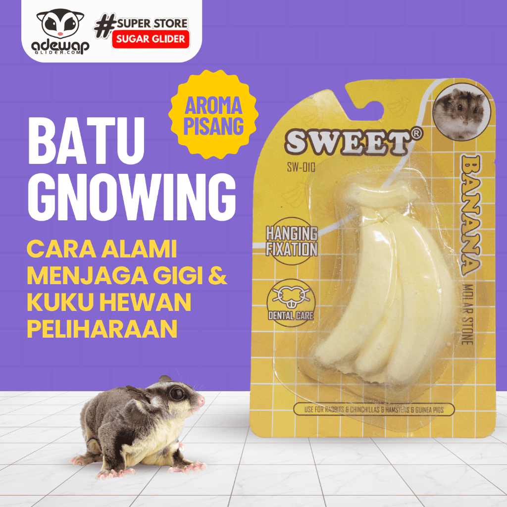 ADEWAP GLIDER Gnawing Stone Gigitan Buah Hewan Peliharaan