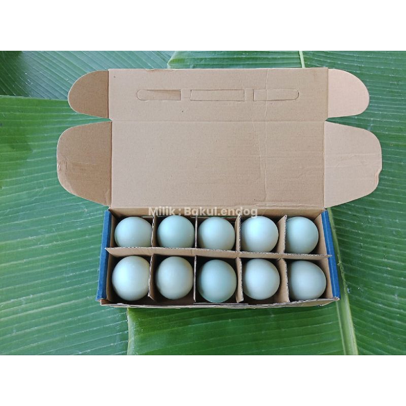

Ma Nining | Telor Asin Asli Indramayu
