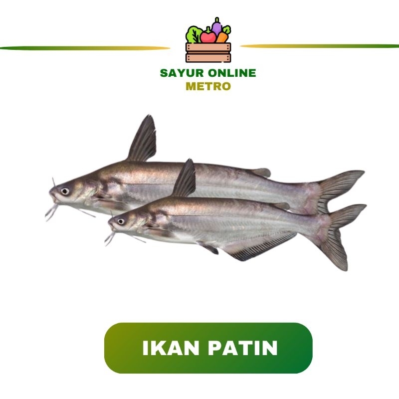 

Ikan Patin /Segar/Fres/500gr - Sayur Online Metro