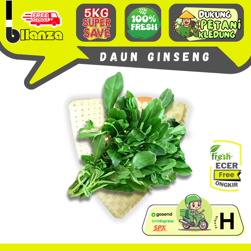 

Bllanza | Daun Ginseng Bio — Sayur Gunung ECER (H)