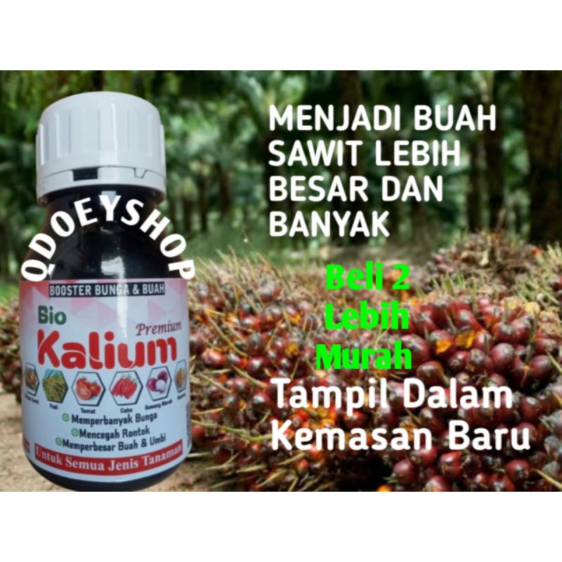 Pupuk Sawit Yang Bagus Untuk Buah BIO KALIUM