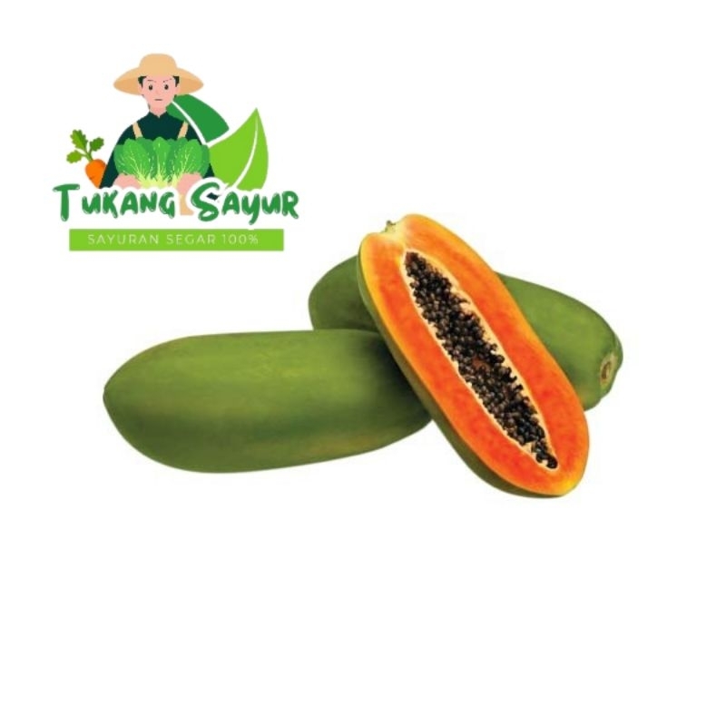 

Buah Pepaya Segar per Buah