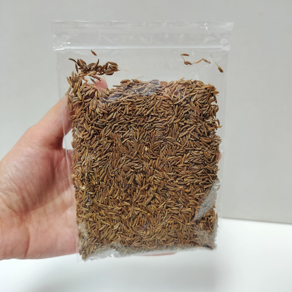 

Jinten Caraway |Jintan Caraway |Cummin Kualitas Grade A