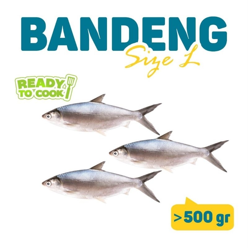 

Ikan Bandeng Cabut Tulang