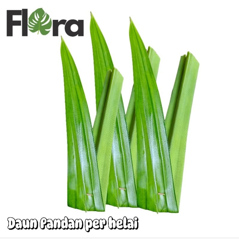 

Daun Pandan Segar untuk masakan 10 helai
