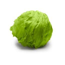 

Lettuce Segar 250gr Sayuran Organik, Renyah dan Sehat untuk Salad