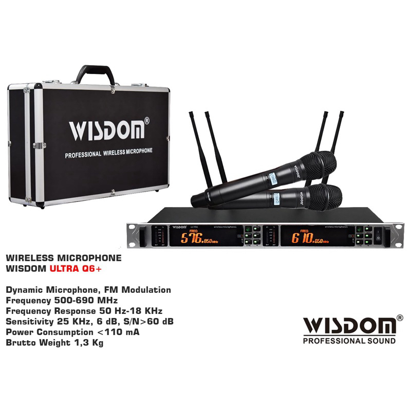 Mic Wireles Wisdom Q6+ Premium Suara Istimewa