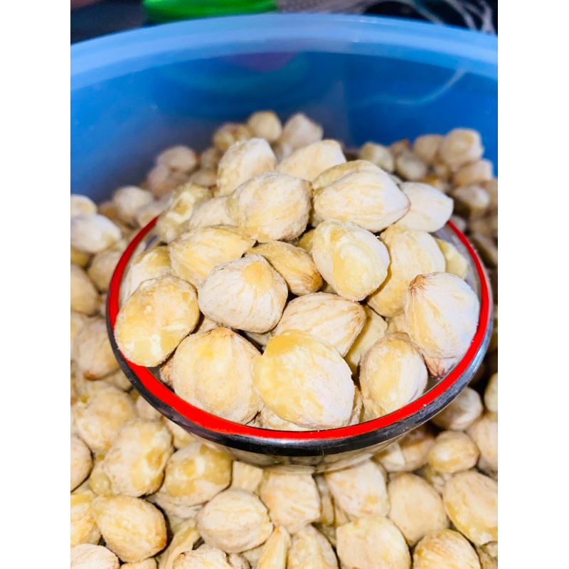 

Kemiri Original Super 100% Asli | Kemiri Kupas Utuh/Belah | Bumbu Masakan Nusantara