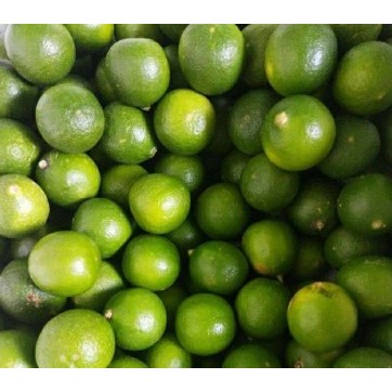 

Jeruk Nipis Segar / Fresh Lime 500gr