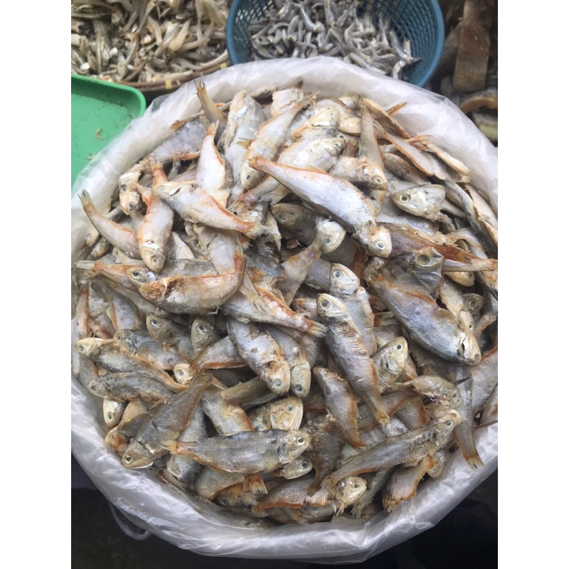 

IKAN ASIN BULU AYAM/BILIS 500Gram/1KG