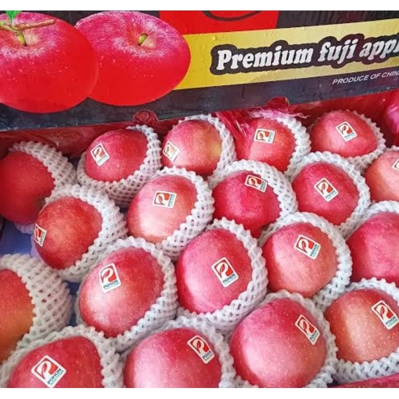 

Apel Fuji Pohon Premium 500gr – Manis Segar Renyah Pilihan Terbaik