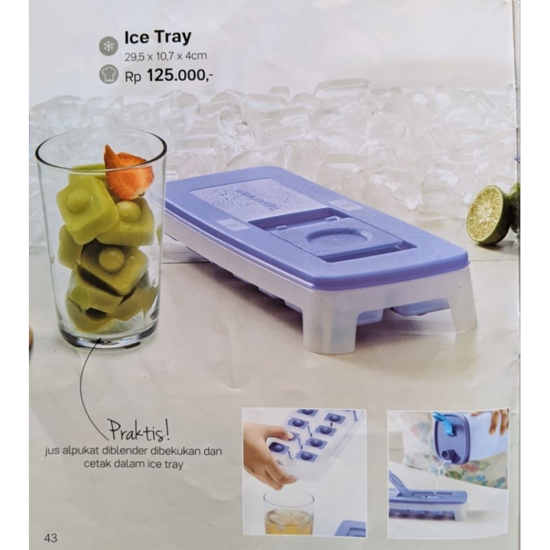 Tupperware Freezer Ice Tray