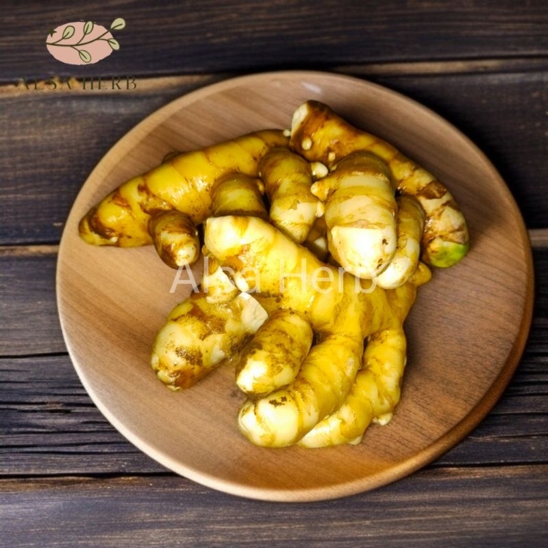 

Kunyit putih segar kunir putih obat herbal