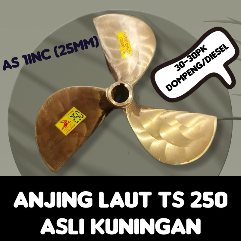KIPAS KAPAL TS 250 ANJING LAUT(kuningan)