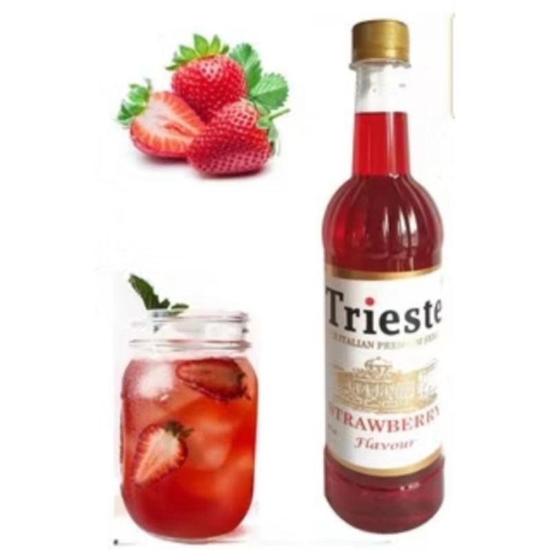 

Trieste Italian Syrup 650 mL - Tea and Mojito Syrup Strawberry