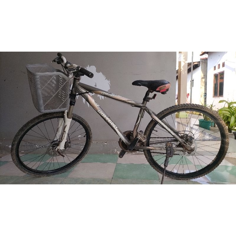 Sepeda Polygon Premier bekas