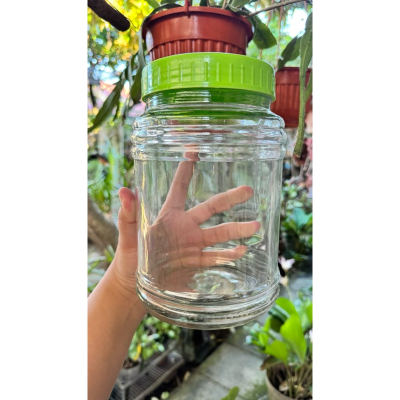 Toples Kaca / Kedaung / Toples Kombucha 2 LITER