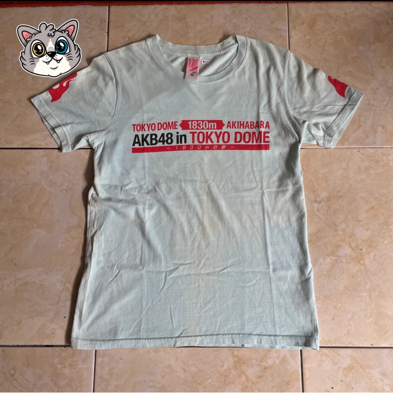 Kaos AKB48 in Tokyo Dome Tee