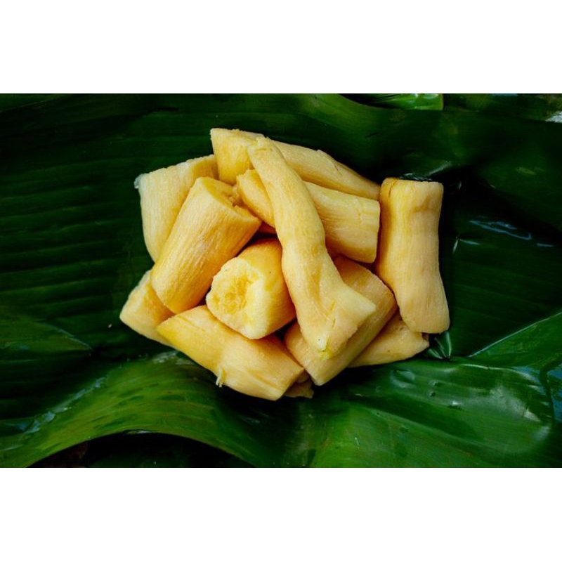 

tape singkong