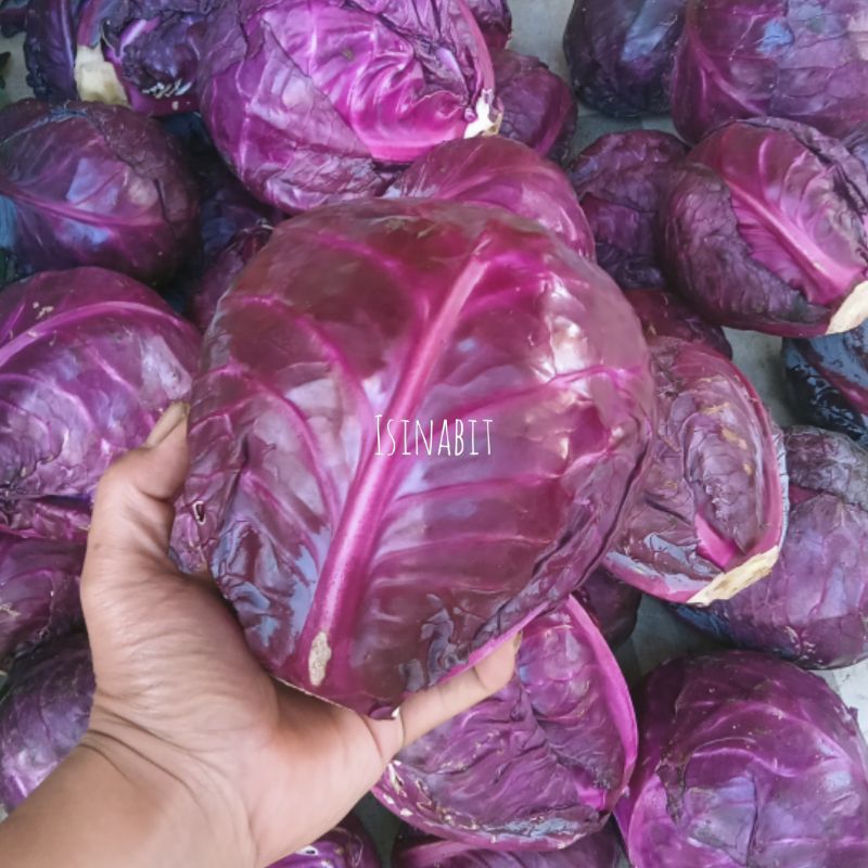 

Kol Ungu /Kol Merah Fresh 1kg
