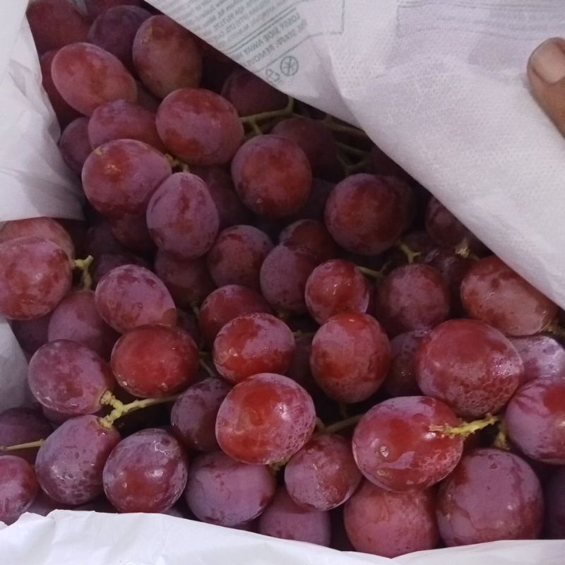 

Buah Anggur Merah Full Manis 1Kg