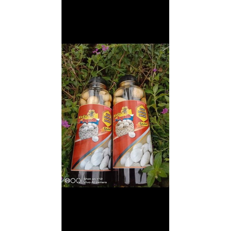 

Madu Bawang Lanang ,( 350 Gr) Diabetes, Kolesterol, Darah tinggi