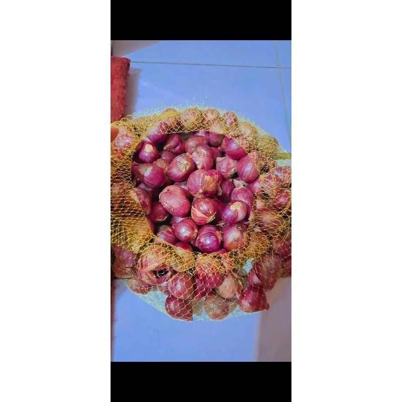 

BAWANG MERAH SUPER 1KG