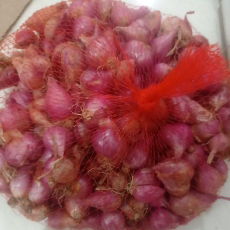 

Bawang Merah Probolinggo Tanggung Kecil 500 gram