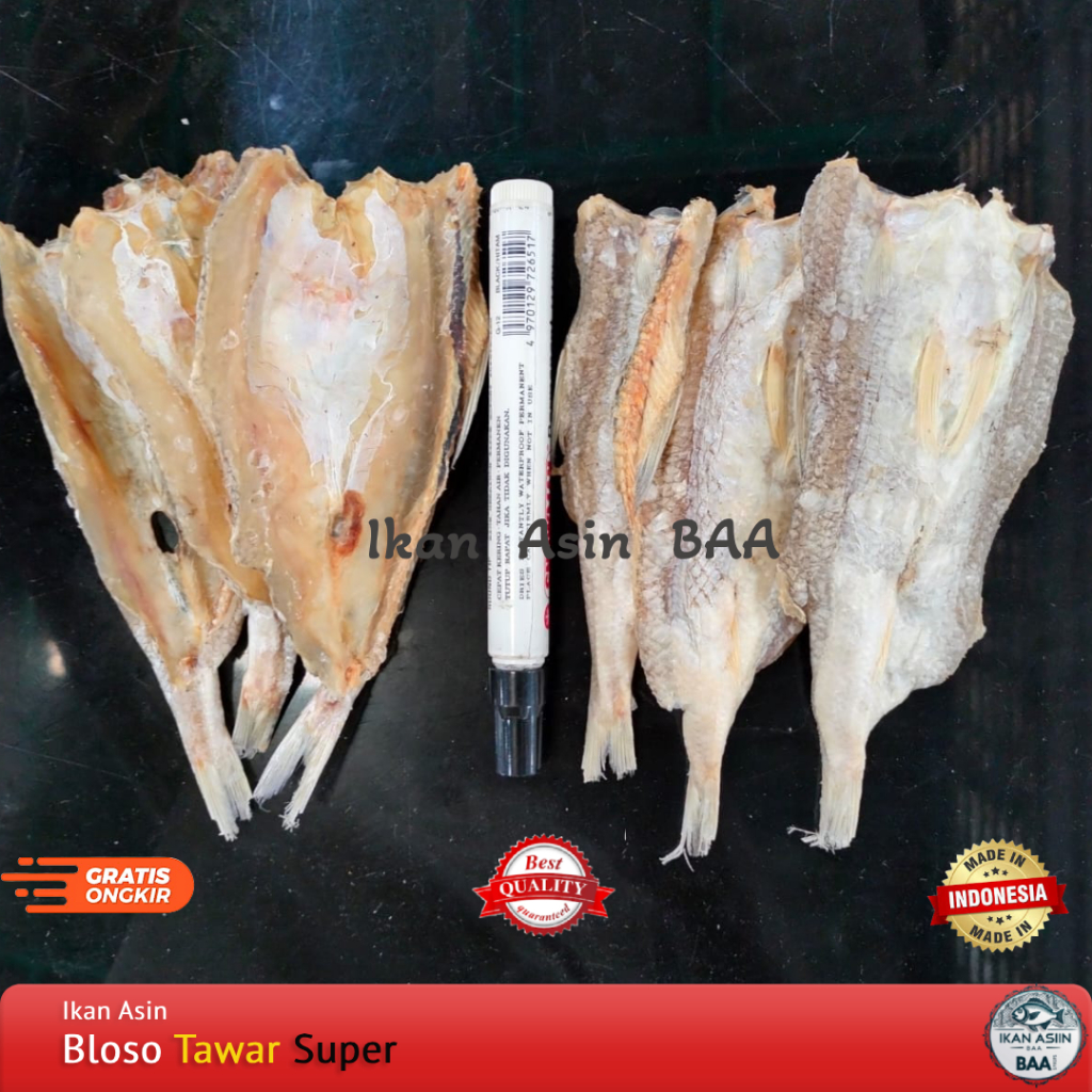 

Ikan Asin Bloso Tawar | Gabus laut Belah tawar