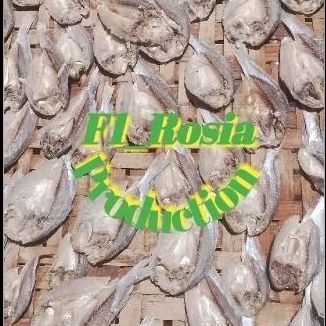

500gram.Ikan.Samge./ikan.Gulama.belah.Plus.bonus.ikan.asin.lain
