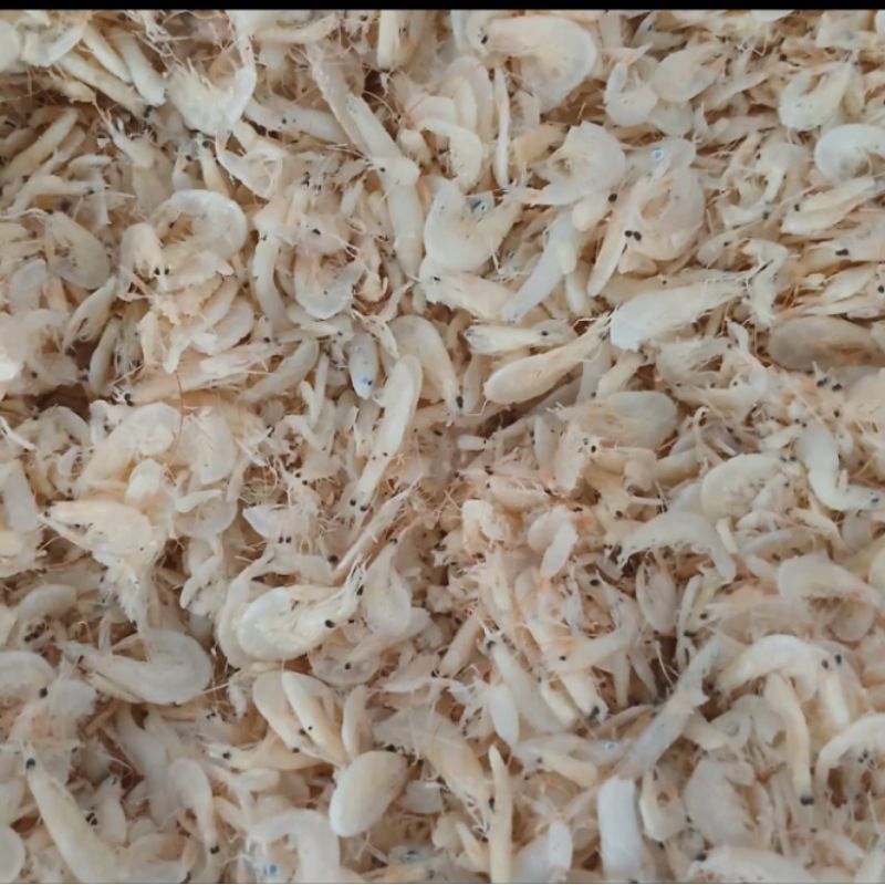 

Udang Kecepe 100gr