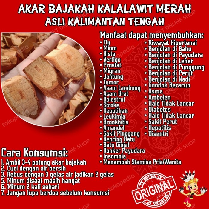 

herbal bajakah kalalwit