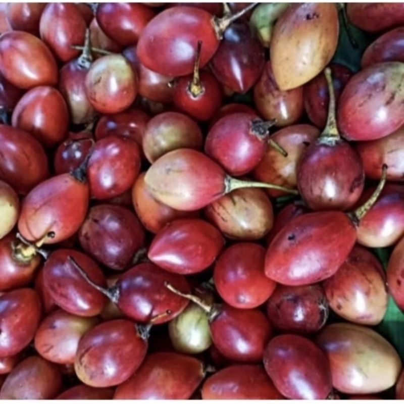 

terong Belanda 1kg
