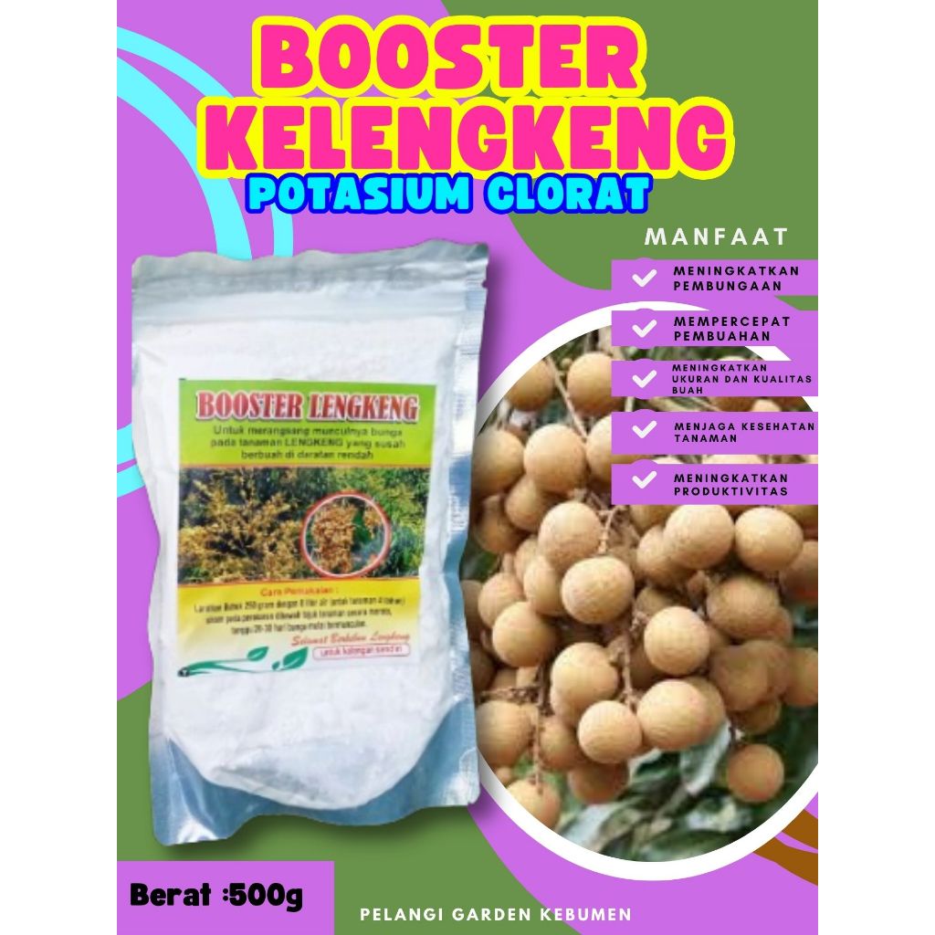 DIJAMIN ASLI ! Boster Kelengkeng Bubuk, Boster Kelengkeng Berbuah, Boster Kelengkeng Berbunga