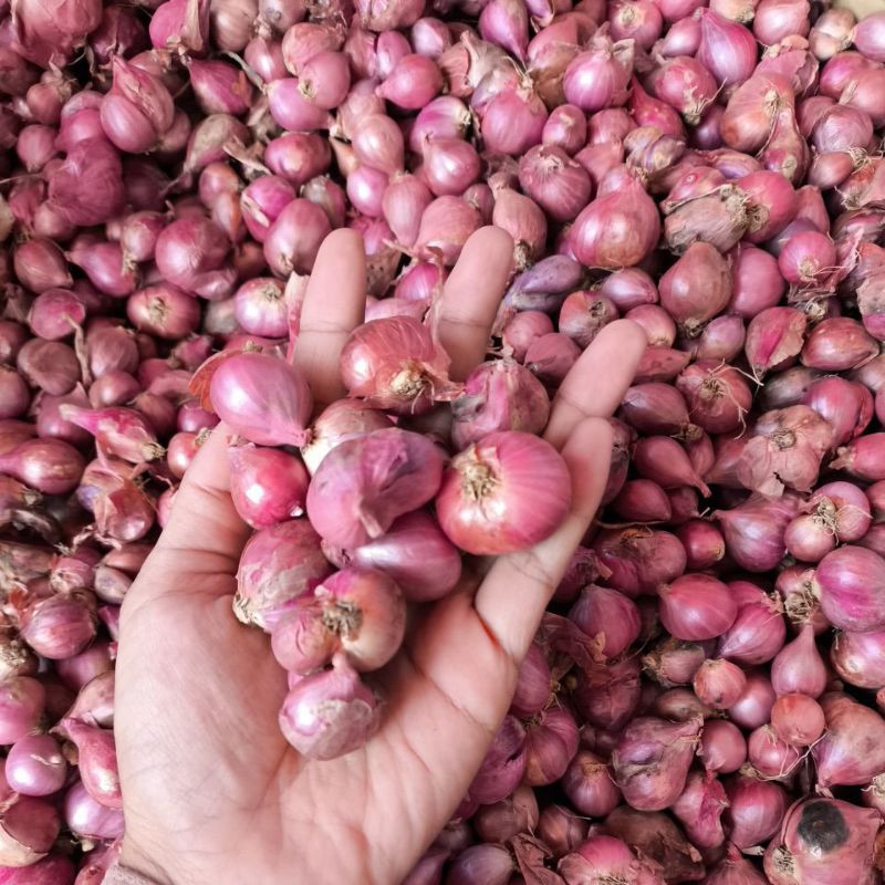 

BAWANG MERAH LOKAL 500GR