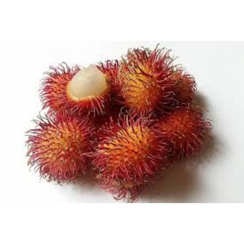 

buah rambutan Binjai